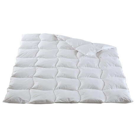 Ganzjahres-Duvet / Daunen Milbenschutz