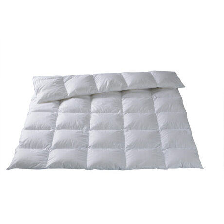 Leichtes Ganzjahres Kassettenduvet BASEL / Daunen