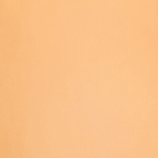 Fixleintuch Satin tangerine